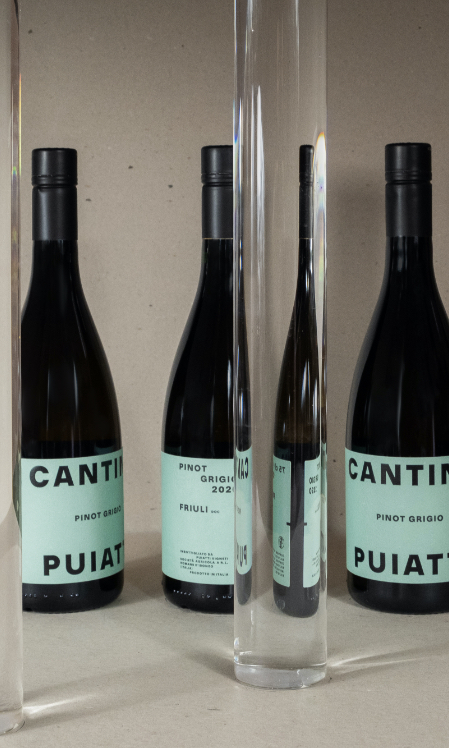 Cantina Puiatti - Pinot Grigio